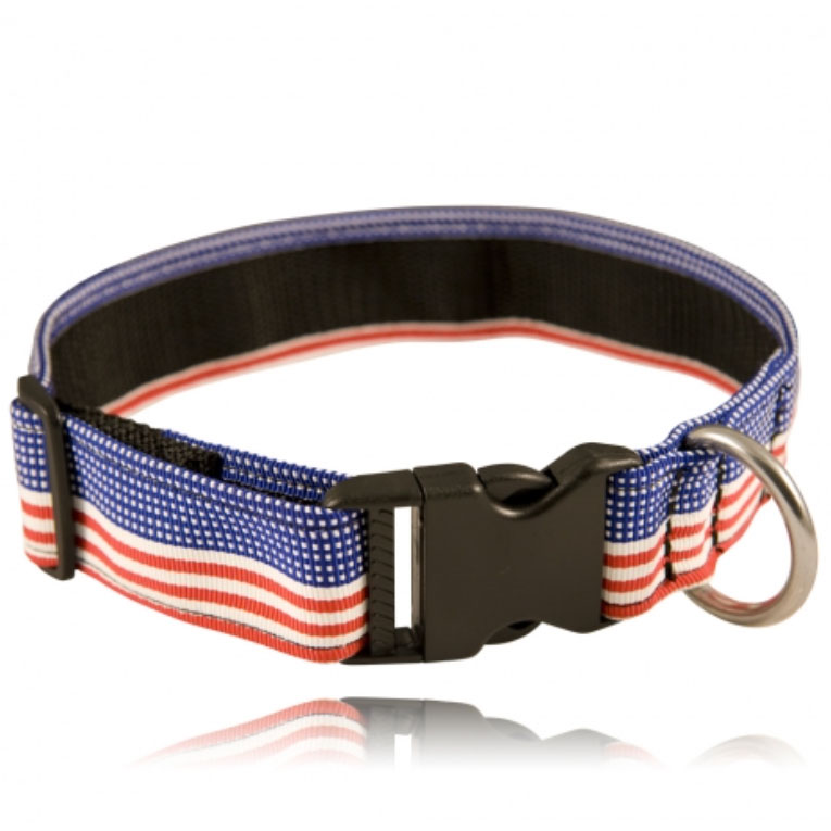 Boston Leather 8150-5 1.5 inch Wide Nylon K-9 Dog Collar